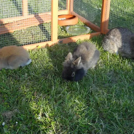 펜션 Elegantes In Bastorf Nahe Dem Kägsdorf