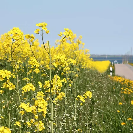 펜션 Elegantes In Bastorf Nahe Dem *